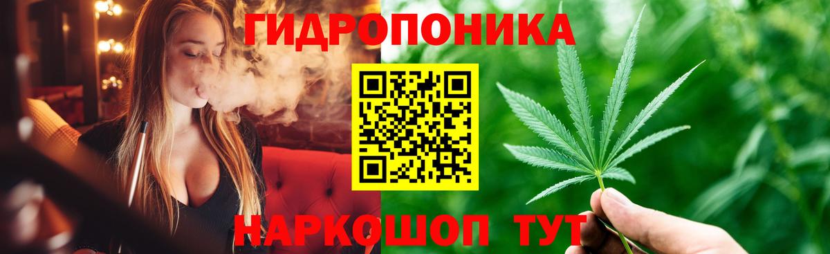Марихуана конопля Волхов